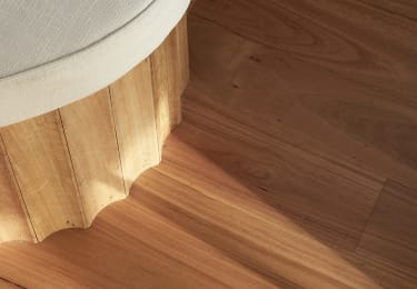 Australian Blackbutt 136